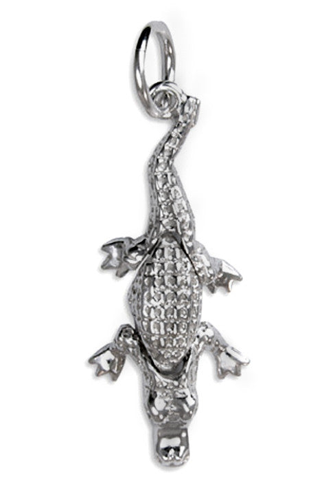 'Crocodile', silver charm